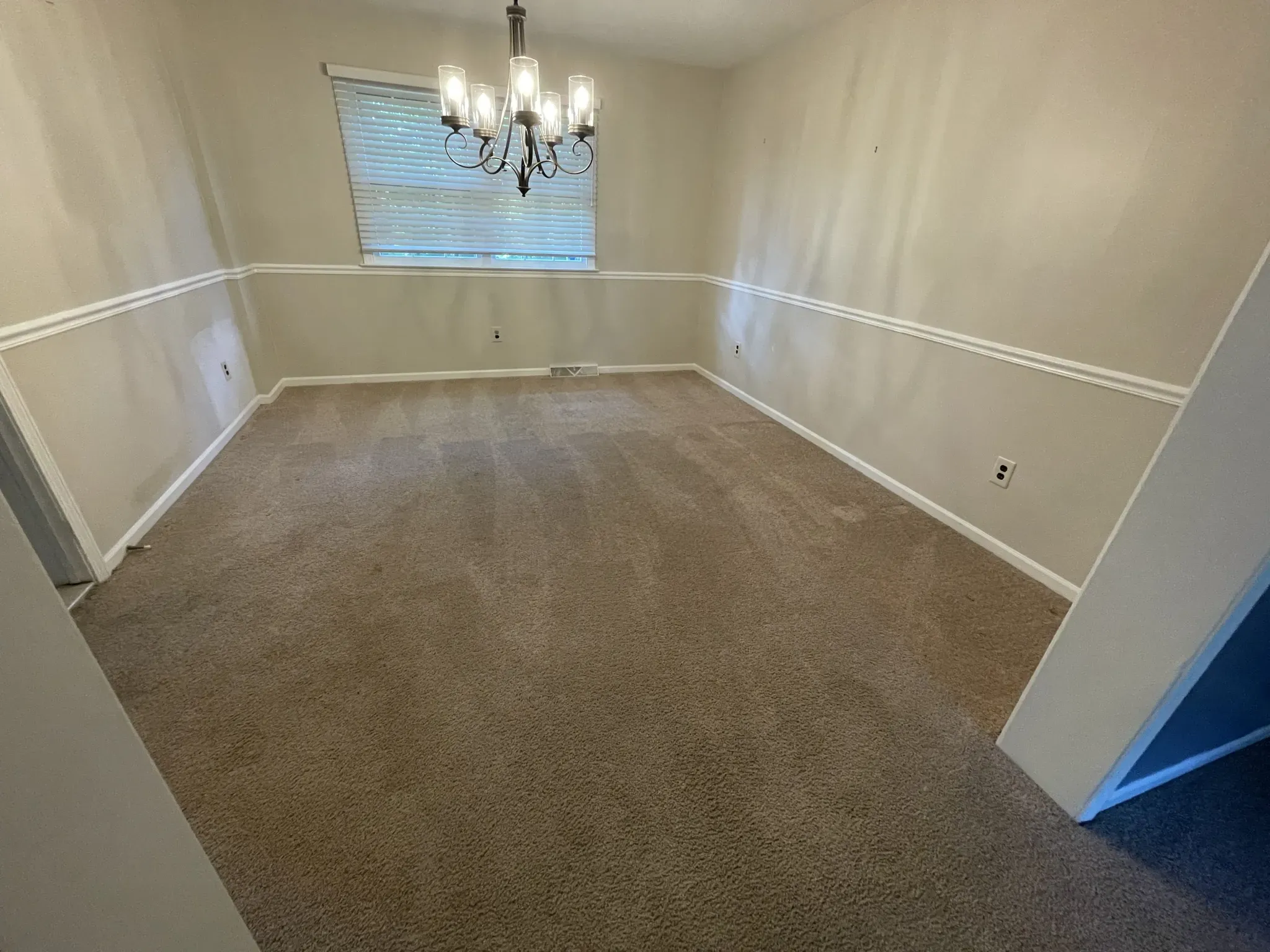 dining room carpet before remodel