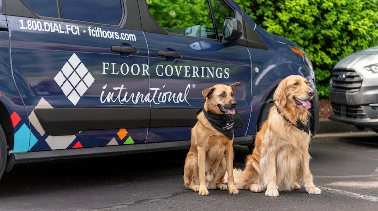 Two dogs sitting in front of a Floor Coverings International van